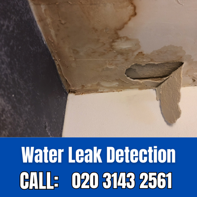 Expert Water Leak Detection Services in Chorleywood | Chorleywood Leak Detection